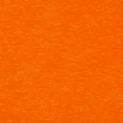 Bright Orange